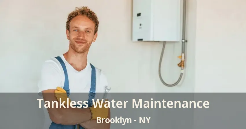 Tankless Water Maintenance Brooklyn - NY